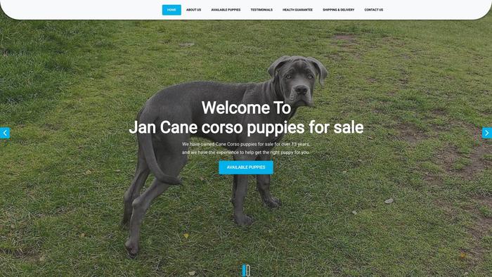 Jancanecorsopuppiesforsale.com - Cane Corso Puppy Scam Review