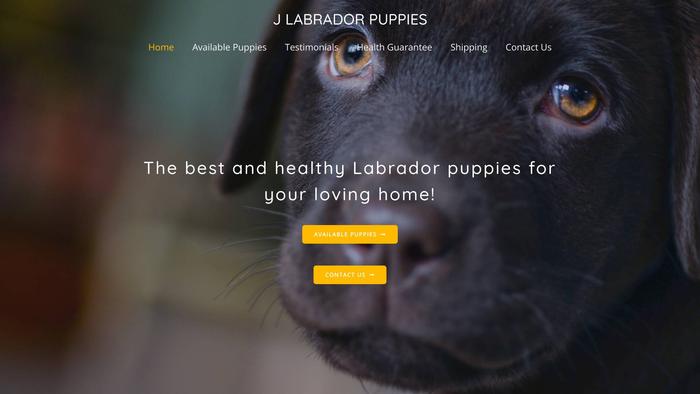 Jlabradorpuppies.com - Labrador Puppy Scam Review