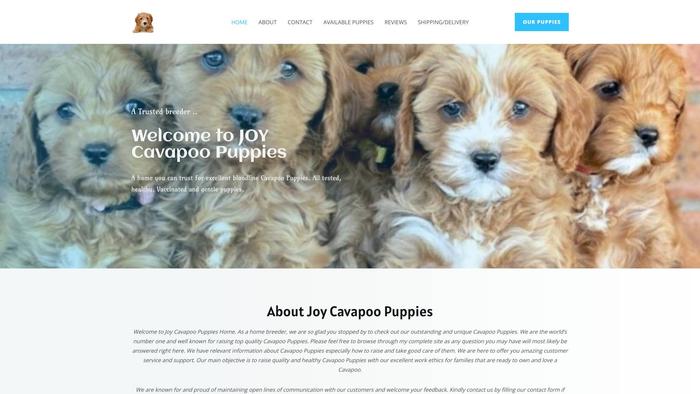 Jocavapoo.com - Cavapoo Puppy Scam Review