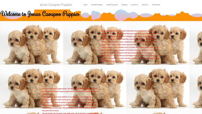 Jonascavapoopuppies.com - Cavapoo Puppy Scam Review