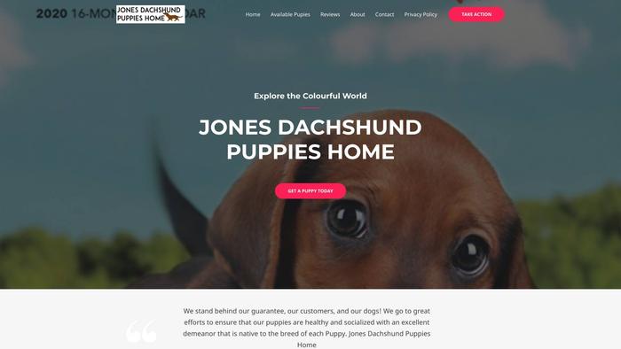 Jonesdachshundpuppieshome.com - Dachshund Puppy Scam Review