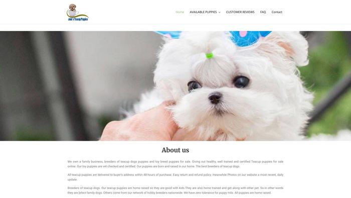 Judeteacupuppies.net - Yorkshire Terrier Puppy Scam Review