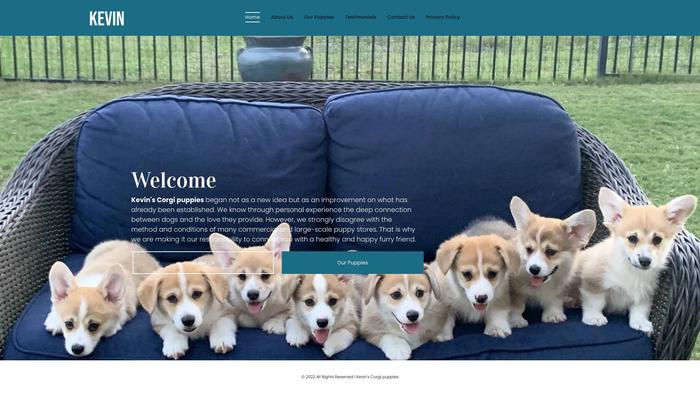 Kevinscorgipuppies.com - Corgi Puppy Scam Review