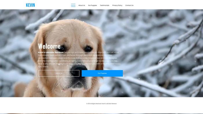 Kevinslabradorretrieverpuppies.com - Golden Retriever Puppy Scam Review