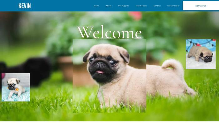 Kevinspugpuppies.com - Pug Puppy Scam Review