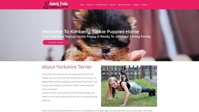 Kimberlyyorkiepuppieshome.com - Yorkshire Terrier Puppy Scam Review