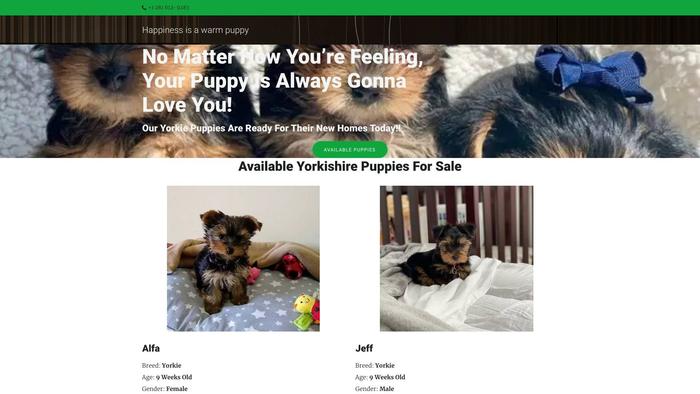 Kingguardianyorkie.com - Yorkshire Terrier Puppy Scam Review