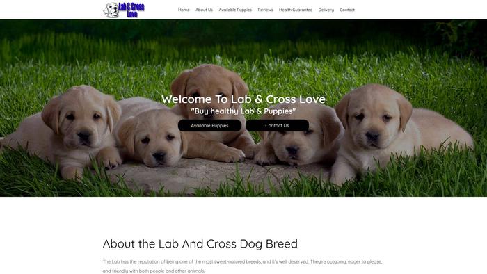 Labandcrosslove.com - Labrador Puppy Scam Review