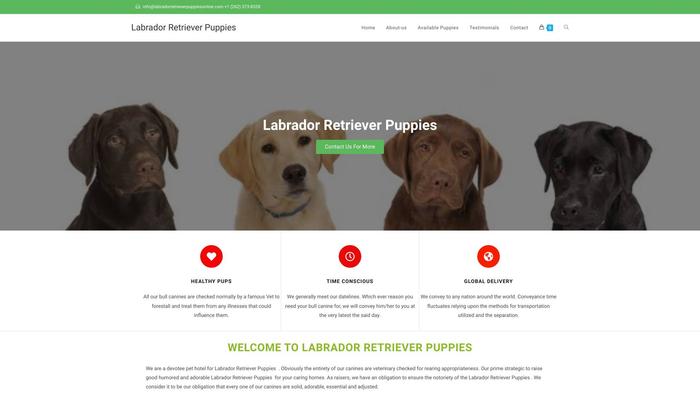 Labradorretrieverpuppiesonline.com - Golden Retriever Puppy Scam Review