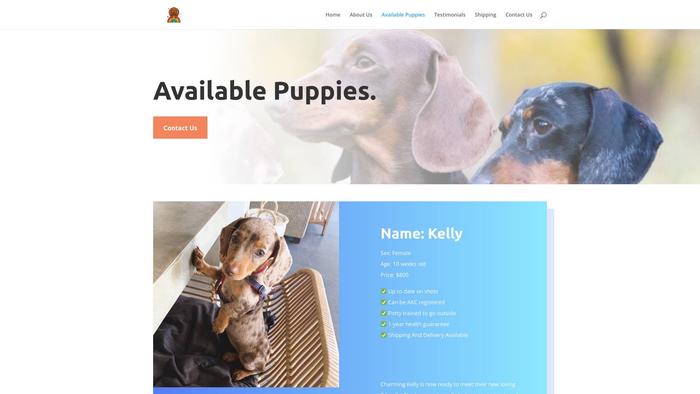 Lewisdachshundshomes.com - Dachshund Puppy Scam Review