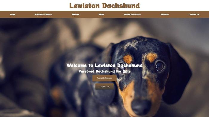 Lewistondachshund.com - Dachshund Puppy Scam Review