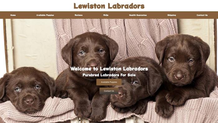 Lewistonlabrador.com - Labrador Puppy Scam Review