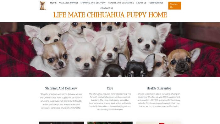 Lifematechihuahuapuppies.com - Chihuahua Puppy Scam Review