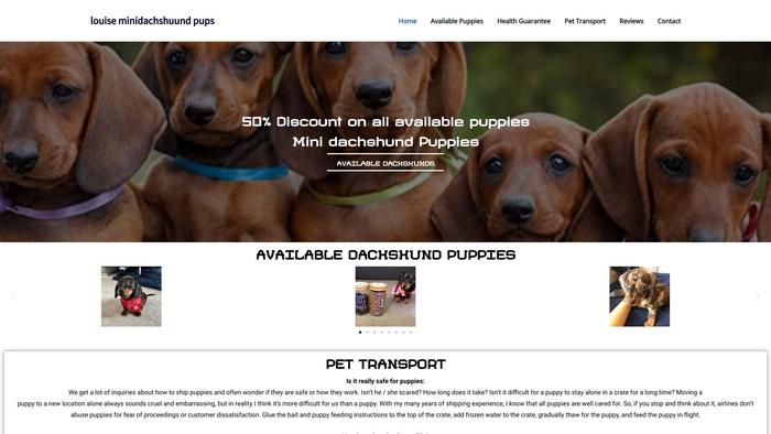 Louiseminidachshuundpups.com - Dachshund Puppy Scam Review