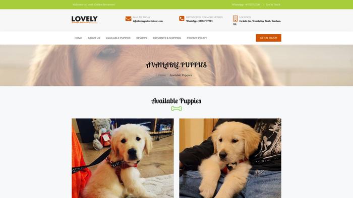 Lovelygoldenretrievers.com - Golden Retriever Puppy Scam Review