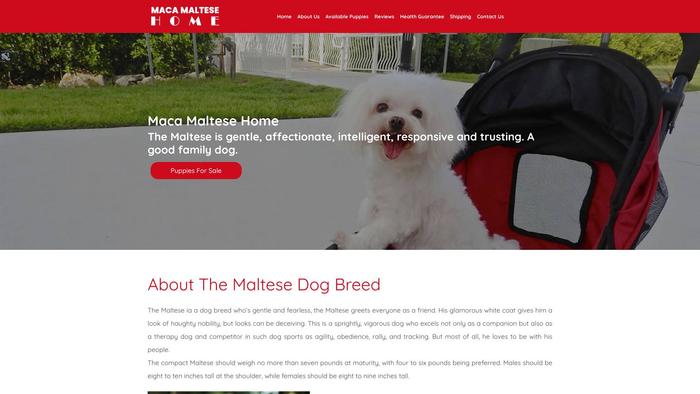 Macamaltesehome.com - Maltese Puppy Scam Review