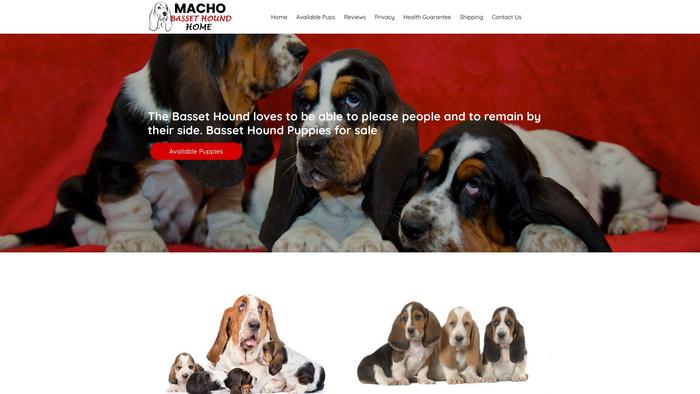 Machobassethoundhome.com - Bassethound Puppy Scam Review