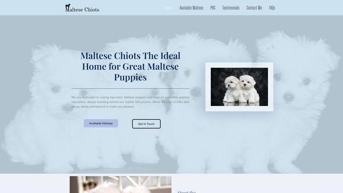 Maltesechiots.com - Maltese Puppy Scam Review