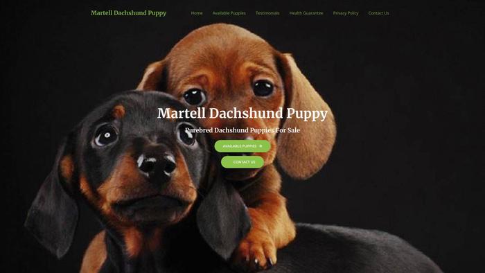 Martelldachshundpuppy.com - Dachshund Puppy Scam Review