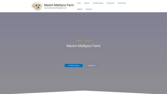 Maximmaltipoolfarm.com - Maltipoo Puppy Scam Review