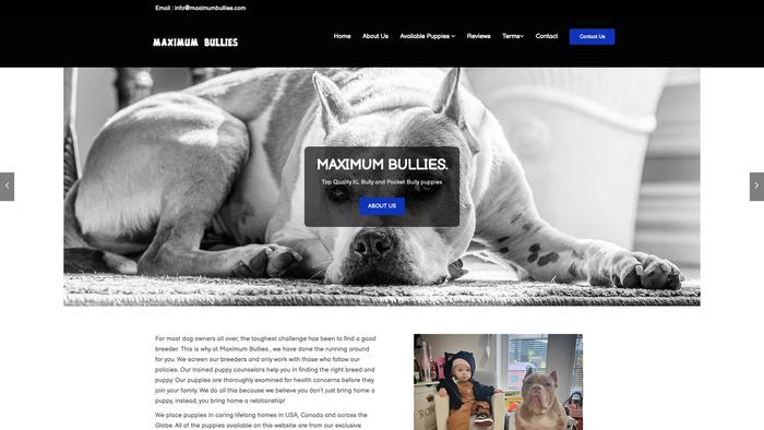 Maximumbullies.com - Pit Bull Puppy Scam Review