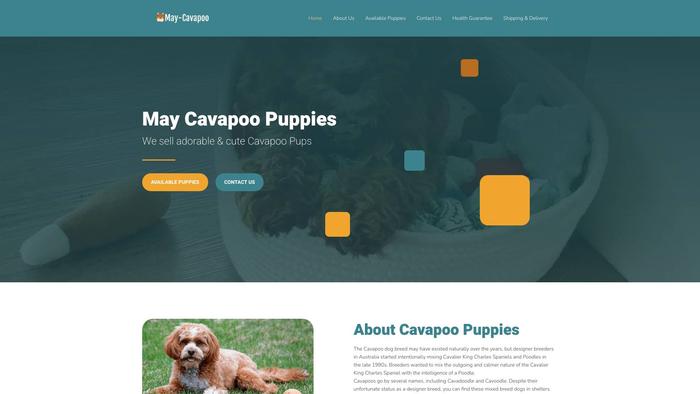 Maycavapoopuppies.dog - Cavapoo Puppy Scam Review