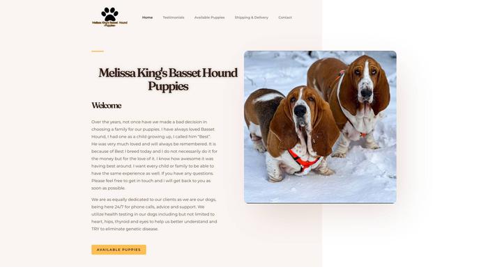 Melissakingbassethoundpuppies.com - Bassethound Puppy Scam Review