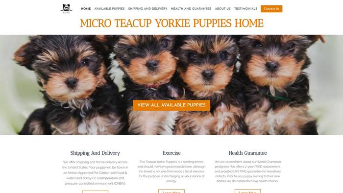 Microteacupyorkiepuppieshome.com - Yorkshire Terrier Puppy Scam Review