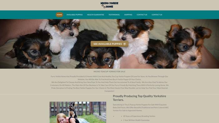 Microyorkiepuppies.pet - Yorkshire Terrier Puppy Scam Review