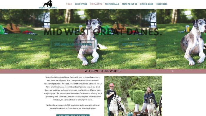 Midwestgreatdanes.com - Great Dane Puppy Scam Review