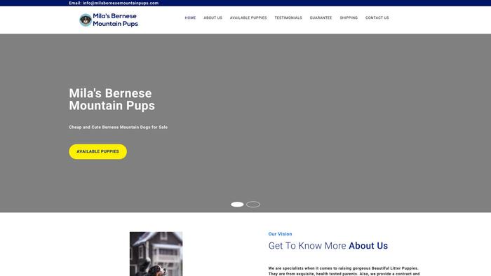 Milabernesemountainpups.com - Bernese Mountain Dog Puppy Scam Review