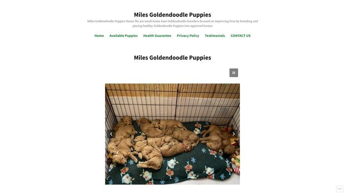 Milesgoldendoodle.com - Golden Doodle Puppy Scam Review