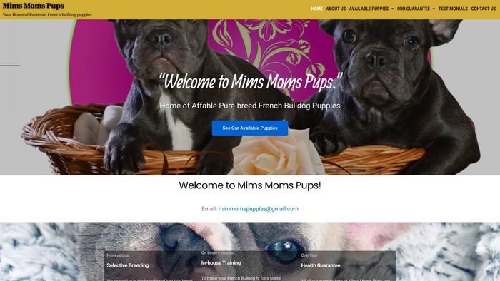 Mimsmomspups.com - French Bulldog Puppy Scam Review