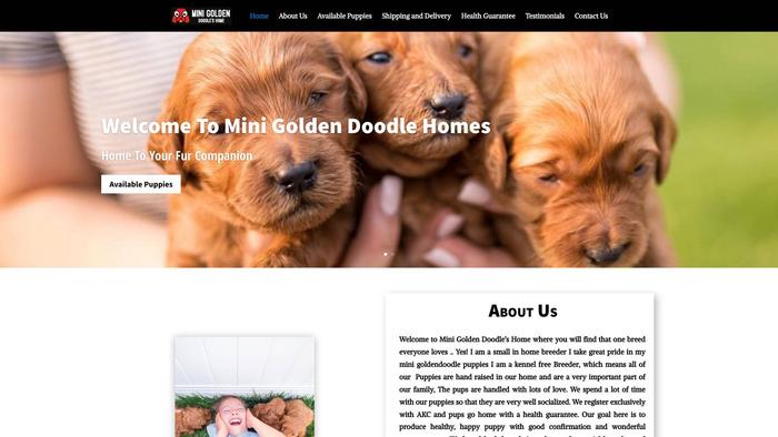 Minigoldendoodlehomes.com - Golden Doodle Puppy Scam Review