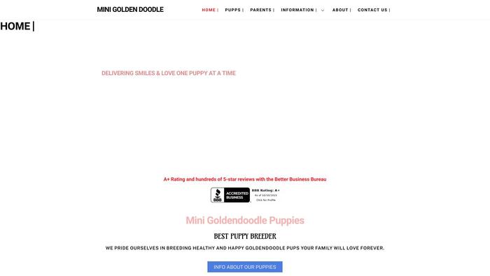 Minigoldendoodleway.com - Golden Doodle Puppy Scam Review