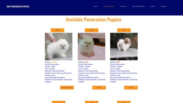 Miniminipomeranianpuppies.com - Pomeranian Puppy Scam Review