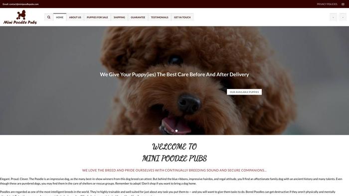 Minipoodlepubs.com - Poodle Puppy Scam Review