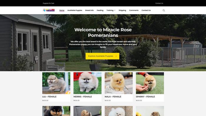 Miraclerosepomeranians.com - Pomeranian Puppy Scam Review