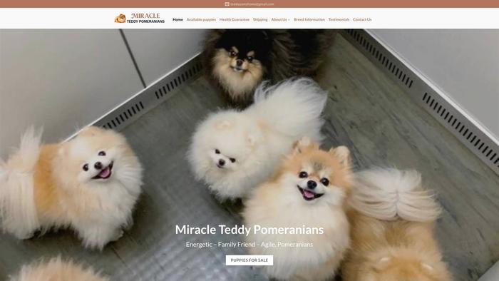 Miracleteddypomz.com - Pomeranian Puppy Scam Review