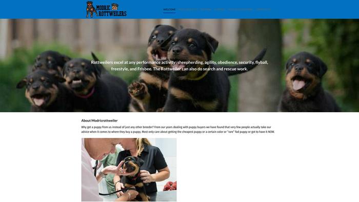 Modricrottweilers.com - Rottweiler Puppy Scam Review