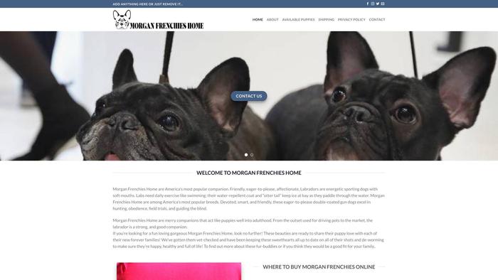 Morganfrenchieshome.com - French Bulldog Puppy Scam Review