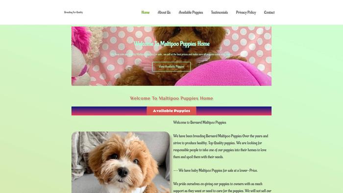 Mpoopup.com - Maltipoo Puppy Scam Review