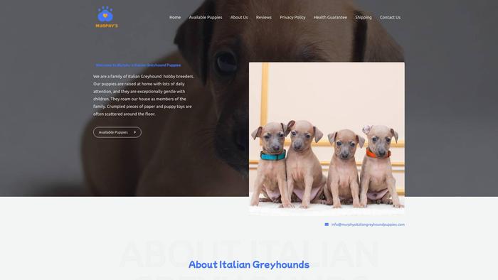 Murphysitaliangreyhoundpuppies.com - Labrador Puppy Scam Review