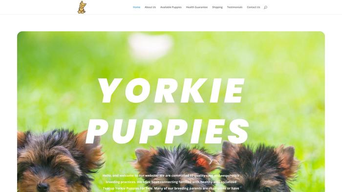 Myorki.com - Yorkshire Terrier Puppy Scam Review