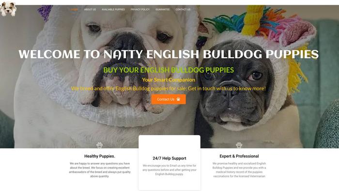 Nattyenglishbulldogpuppies.com - English Bulldog Puppy Scam Review