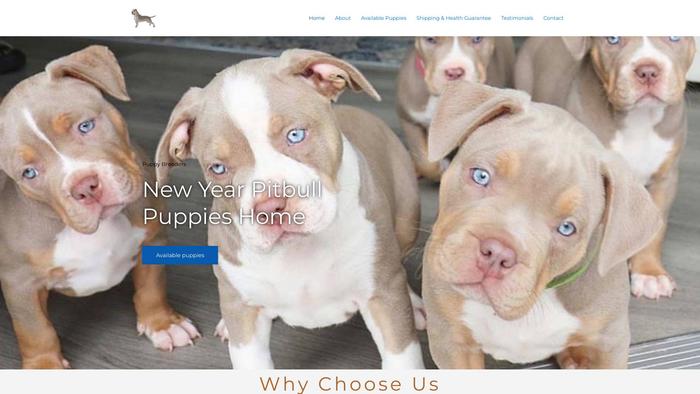 Newyearpitbulls.com - Pit Bull Puppy Scam Review