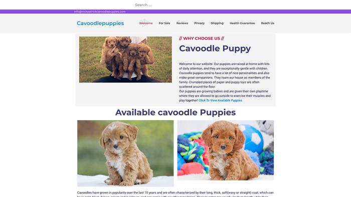 Nickpatrickcavoodlepuppies.com - Cavapoo Puppy Scam Review