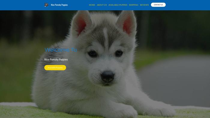 Nicopomskypuppies.com - Pomeranian Puppy Scam Review