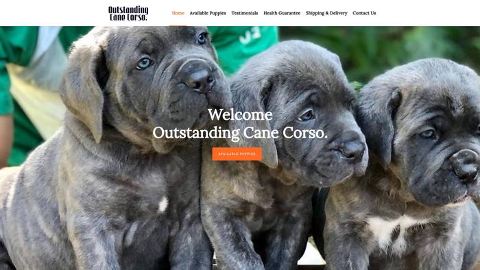 Outstandingcanecorso.com - Cane Corso Puppy Scam Review