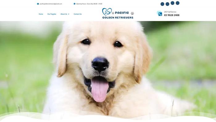 Pacificgoldenretrievers.com - Golden Retriever Puppy Scam Review